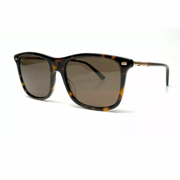 Gucci Men's Polarized Havana Brown Sunglasses